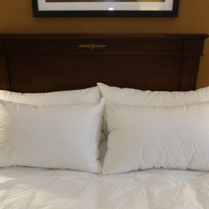 SBID-9-S Made in the U.S.A. 20x26 20 oz Star Destiny Pillow at $7.46/ea 12 ea Case Price